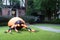 The house is decorated for Halloween:Huge inflatable spider near