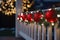 House decoration for Christmas. Closeup of red Christmas tree decoration balls and string lights garland wrapped around