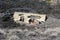 House devastated by lava flow on Mount Etna, Sicily Italy