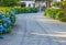 House Driveway Blue Flowers