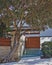 House entrance with olive tree and water pool, Athens Greece