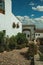 House facade with white walls, stairs, flower pots and plants at Caceres