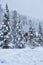 House in fir forest Teletsky Altai winter mountain ski resort