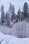 House in fir forest Teletsky Altai winter mountain ski resort