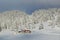 House and fir tree in winter, Jura mountain, Switzerland