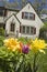 House with flowers in front garden