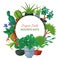 House flowers indoor floriculture banner vector illustration. Nature home decoration gardening. Indoor plants in