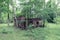 House in the forest. House among the trees. A collapsed building in the woods