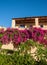 House framed by pink bougainvillea in Malia on crete island