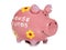 House funds savings piggy bank