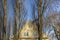 House gable and trees