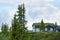 House with grass roofs in Norway