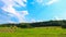 House, haystack, in the field, carpathian village, Ukraine