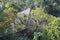 House hidden in the forest of wanshi botanical garden, adobe rgb