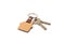 House keys with a keychain in the shape of a house on a colored background.