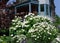 house with large cluster of white hydrangea and daisies