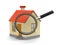 House with loupe (clipping path included)