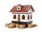 House model and coins on white background