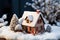 House model in a snowy setting, emphasizing winter heating concept