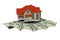 House with money over white background