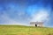 House in mountain in sunny day