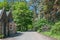 House near an avenue surrounded by green trees, Edinburgh, Scotland