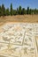 House of Neptune. Domus of Neptune. Roman mosaics of Italica, Spain