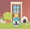 House outside cat with bowl and sack food pet care