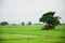 House on paddy field located in Bago, Myanmar