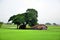 House on paddy field located in Bago, Myanmar