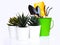 House plant with cactus in potted with gardening tool set, cultivation equipment with green pot, shovel.