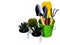 House plant with cactus in potted with gardening tool set, cultivation equipment with green pot, shovel, rake.