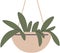 House plant. Home houseplant flowerpot. Decorative botanical floral in hanging and floor basket