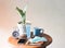 House plant in plant pot with alarm clock , blue cup of coffee , notebook,eye glasses,mobile phone, hygienic mask and alcohol hand