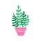 House plant in pot. Beautiful hand drawn isolated vector illustration with Zamioculcas