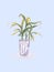 House Plant in pot. Decoration for room or office. Potted plant isolated on light background. Hand drawn Illustration.