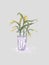 House Plant in pot. Decoration for room or office. Potted plant isolated on light grey background. Hand drawn Illustration.