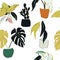 House plants decoration. Home floral pattern illustration.  Hand drawn modern natural decoration, houseplants botanical drawing