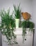 House plants different potplant sets. industrial green interior. Urban jungle interior in livingroom of home garden jungle. with m