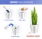 House Plants Growing Infographics Realistic Composition