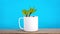 House plants grown in recycled mugs, tea cups, sugar bowl and tea pot stop motion animation