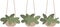House plants. Home houseplant three flowerpot. Decorative botanical floral in hanging basket