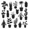 House plants silhouettes