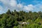 House in the rainforest. Wooden cottage in the middle of forest background. Chinese style house surrounded by trees on mountain