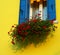 House with red geraniums on the island of Burano near Venice in Italy