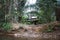 House on the river in the jungle overgrown with vegetation