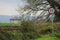 House on Roadside in Ireland with speed sign 80 km/h