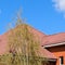 The house with a roof of classic tiles