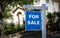 HOUSE FOR SALE - BLUE SIGN
