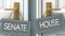 House or senate as a choice in life - pictured as words senate, house on doors to show that senate and house are different options